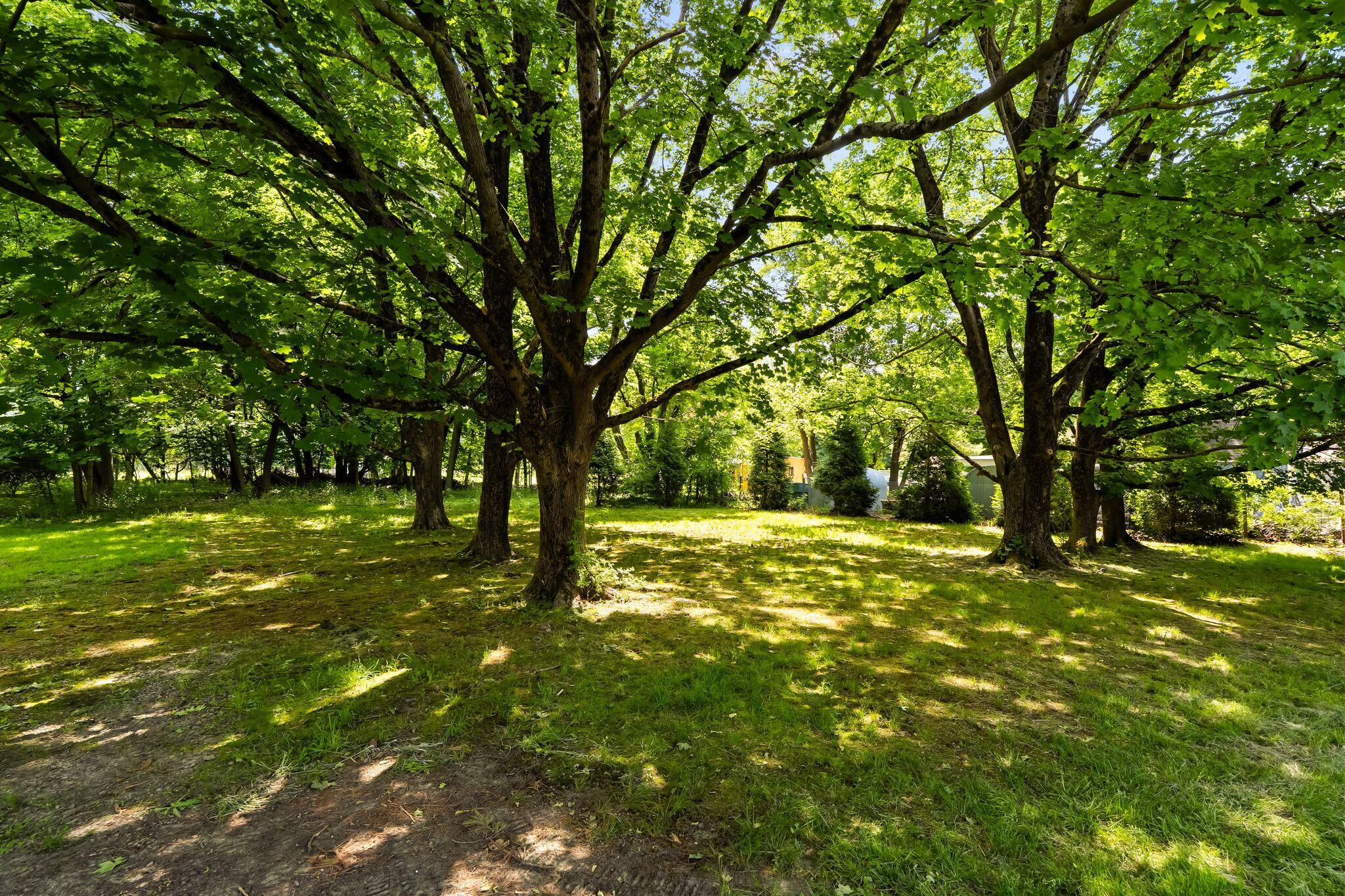 65 Summer Street Middleborough MA 02346