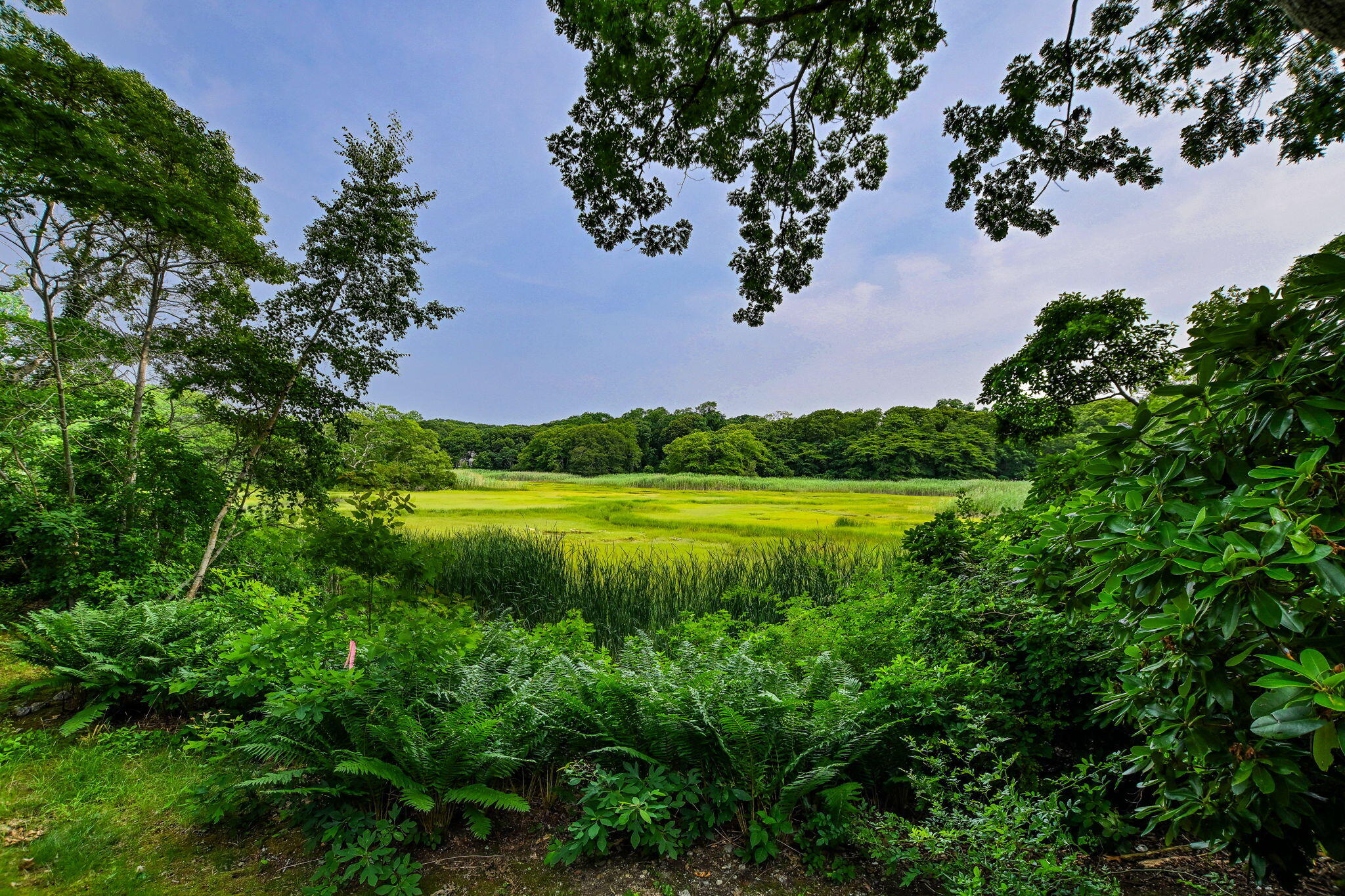 72 Loop Road Falmouth MA 02540