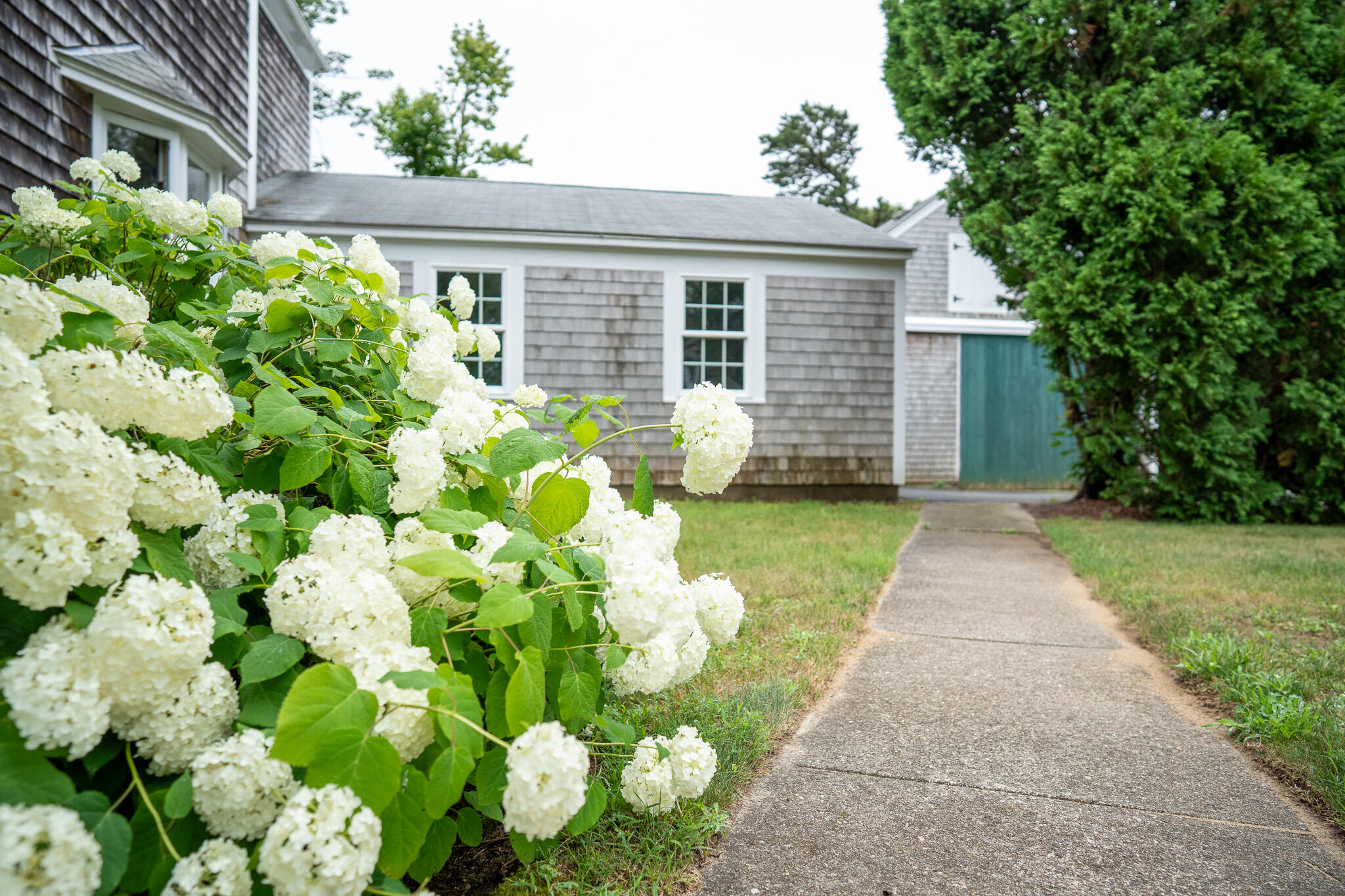 101 Parallel Street Harwich MA 02645