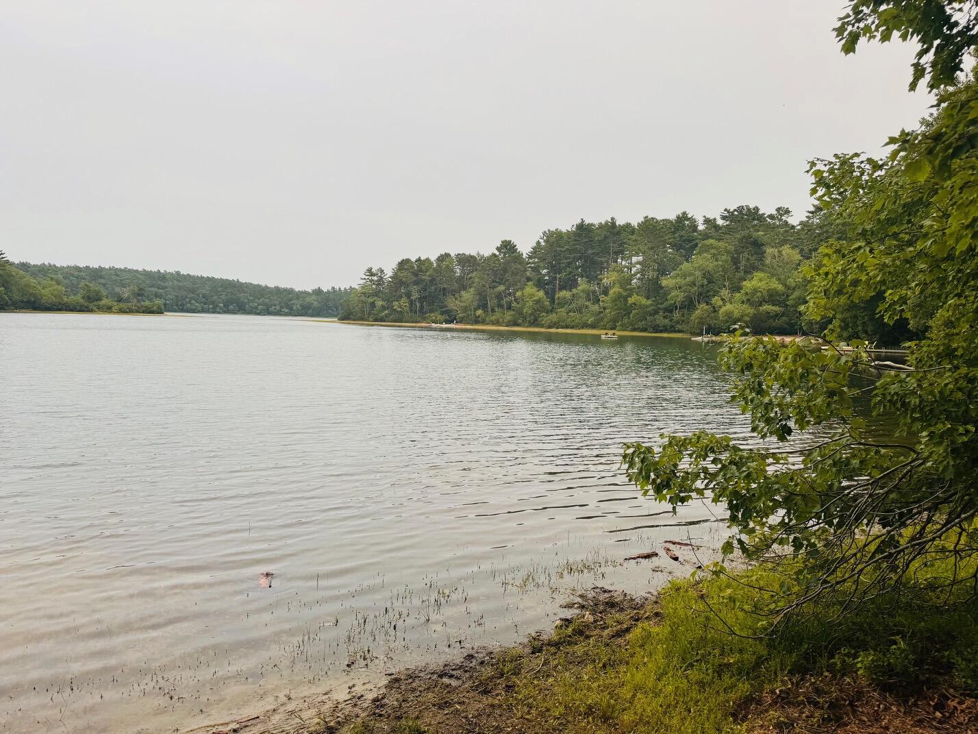 1 Timberlane Plymouth MA 02360