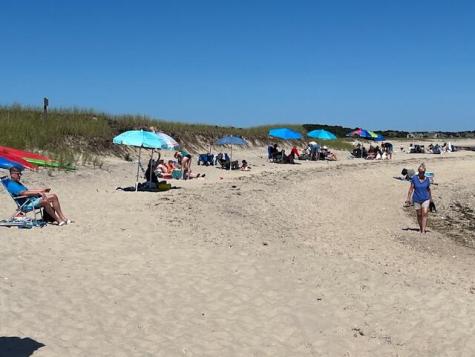 41 Woodland Road Chatham MA 02659