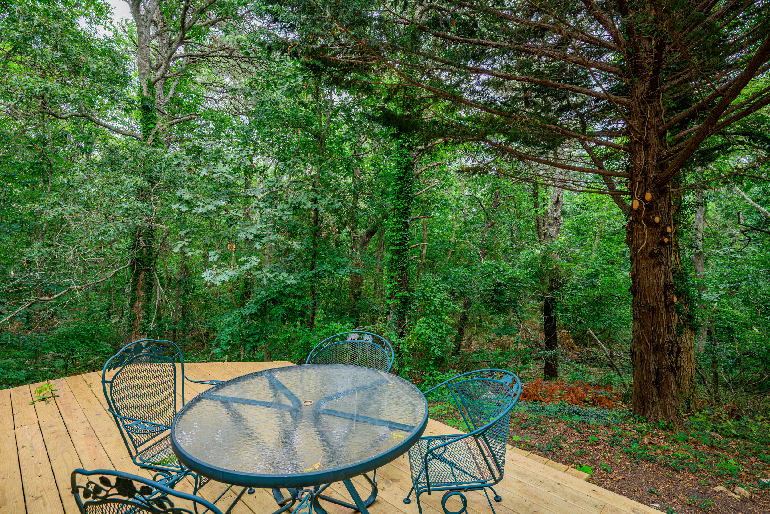 267 Great Fields Road Brewster MA 02631