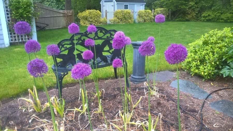 764 Riverview Drive Chatham MA 02633