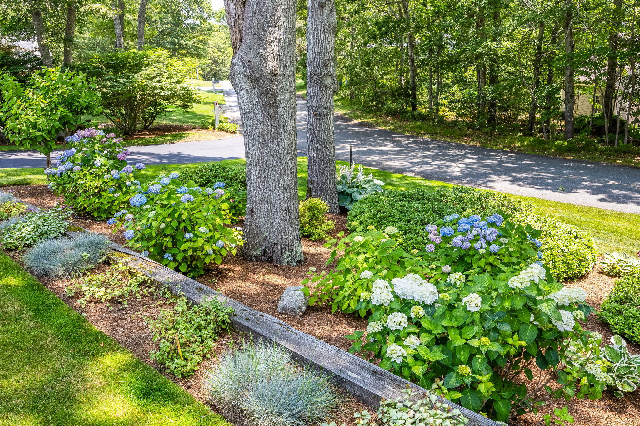 29 Calvin Drive Dennis MA 02638