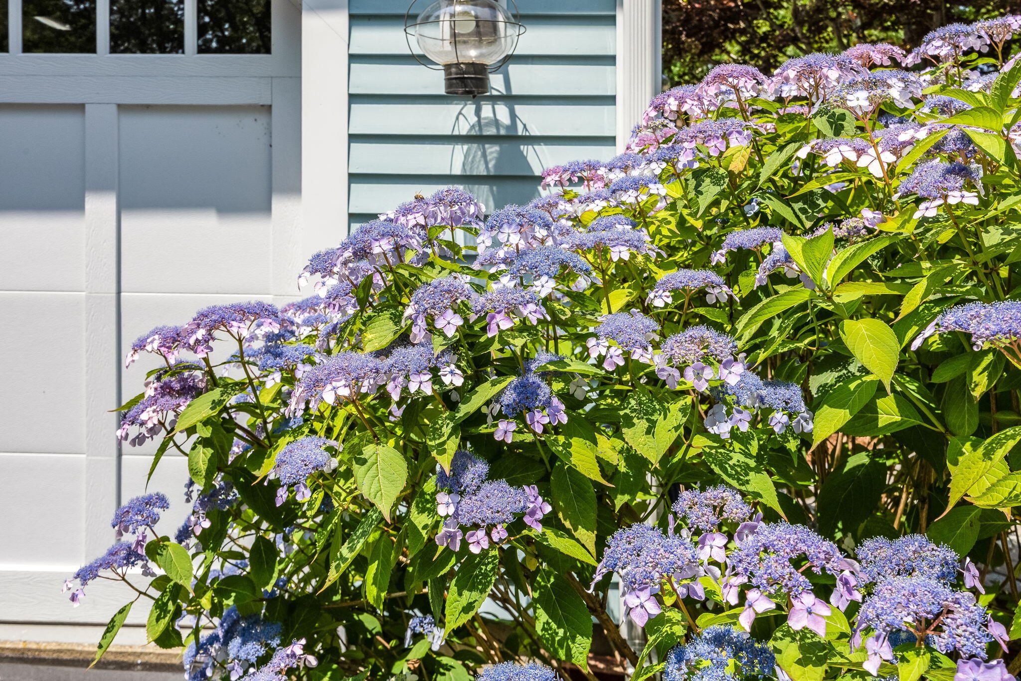 29 Calvin Drive Dennis MA 02638