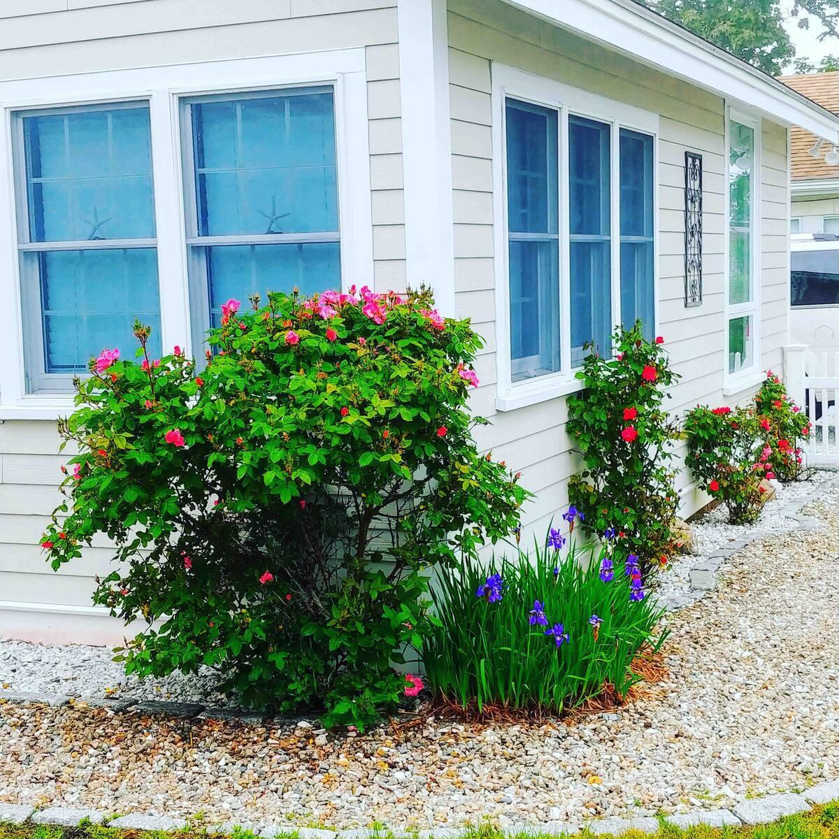 23 Doric Avenue Dennis MA 02670