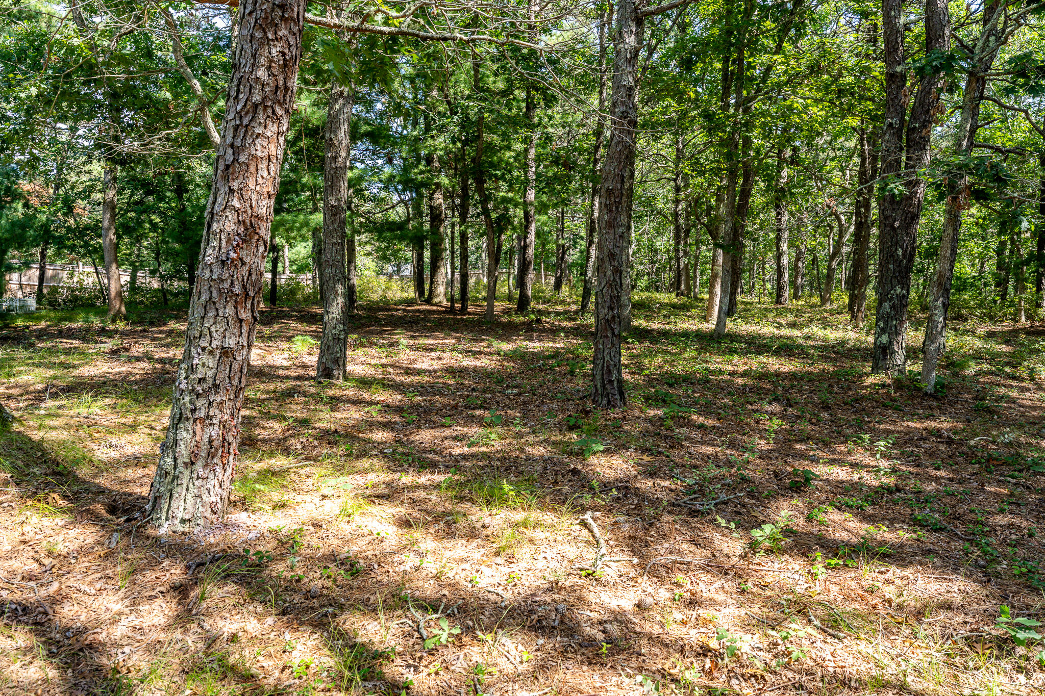 10 Oxfordshire Place Mashpee MA 02649