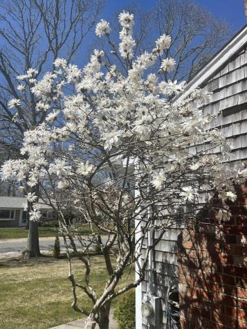 80 Coolidge Road Yarmouth MA 02673