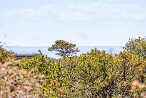 7 Turnstone Road Truro MA 02666