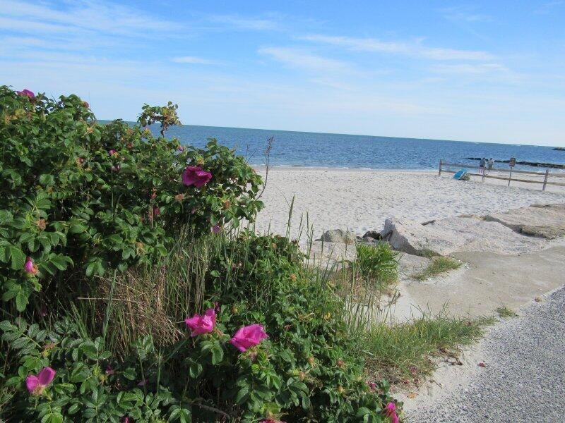 64 Wilfin Road South Yarmouth MA 02664