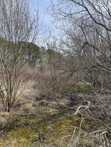 22 Breezy Point Road Yarmouth MA 02664