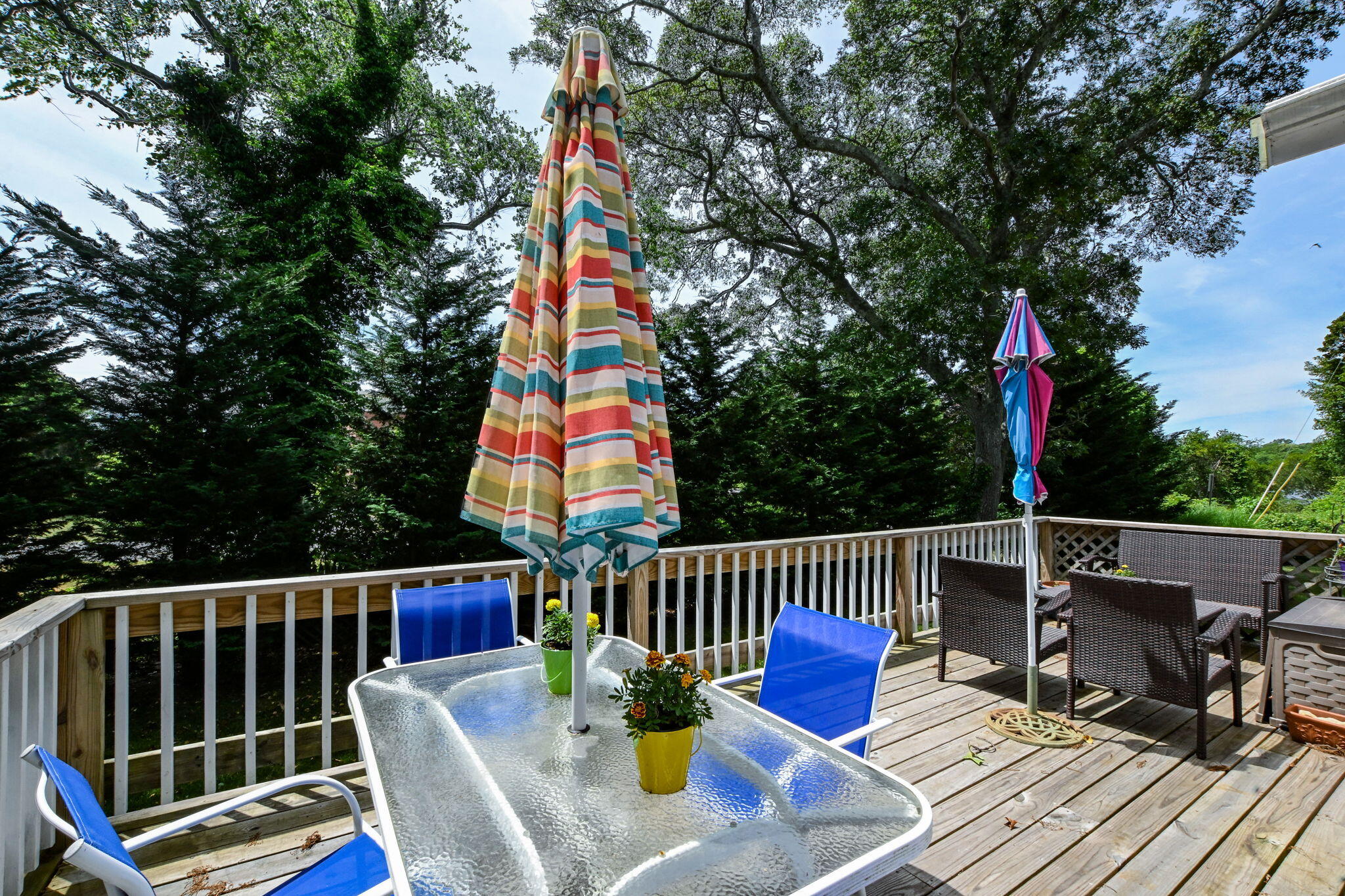 5 Hamlin Avenue Falmouth MA 02540