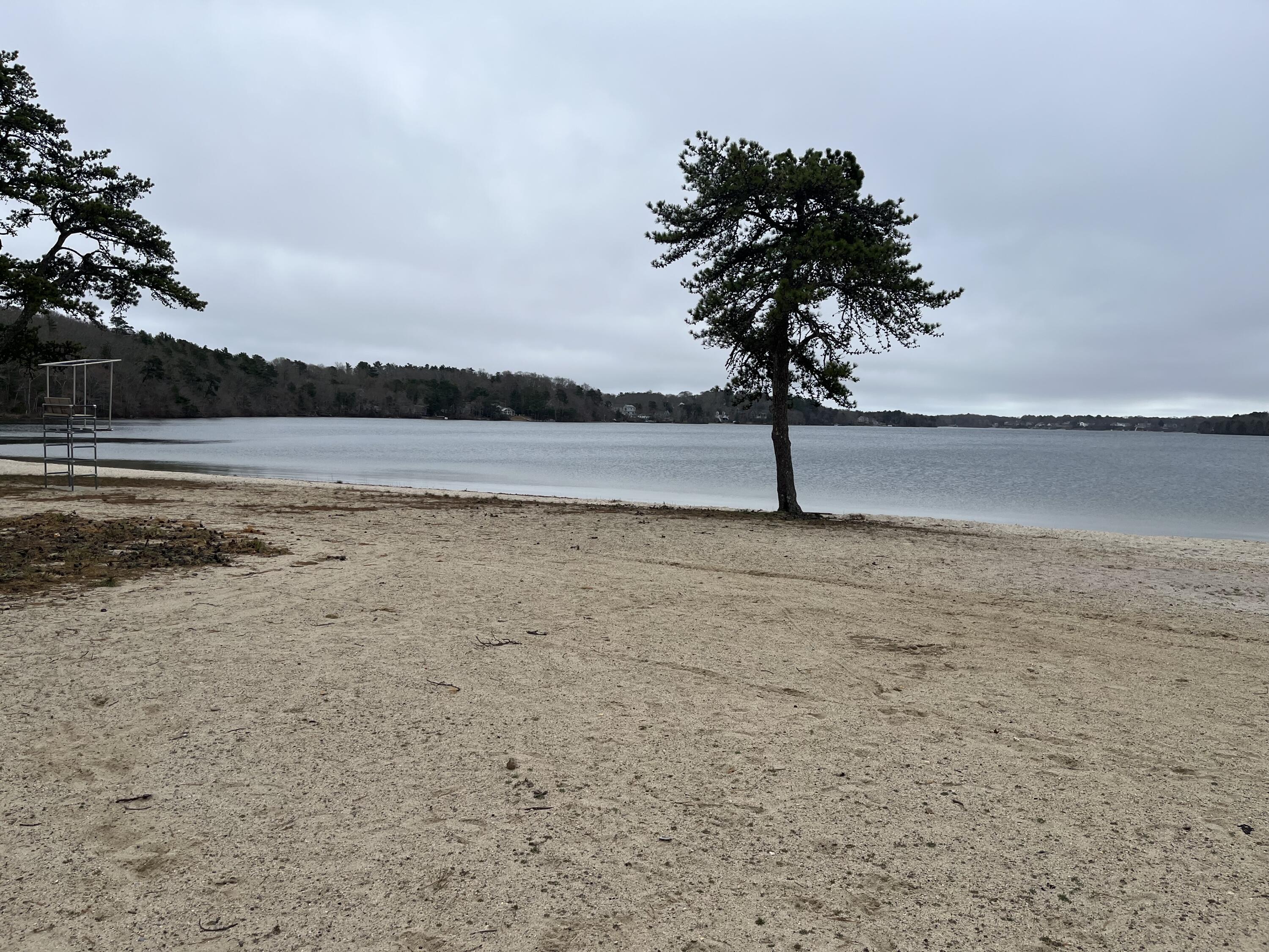 53 Woodland Avenue Mashpee MA 02649