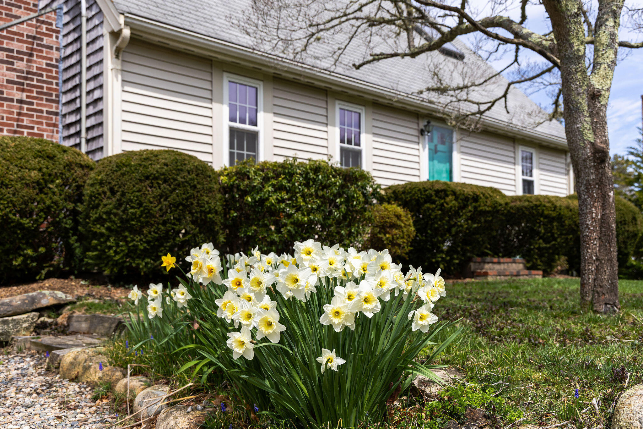 98 Sheep Pond Drive Brewster MA 02631