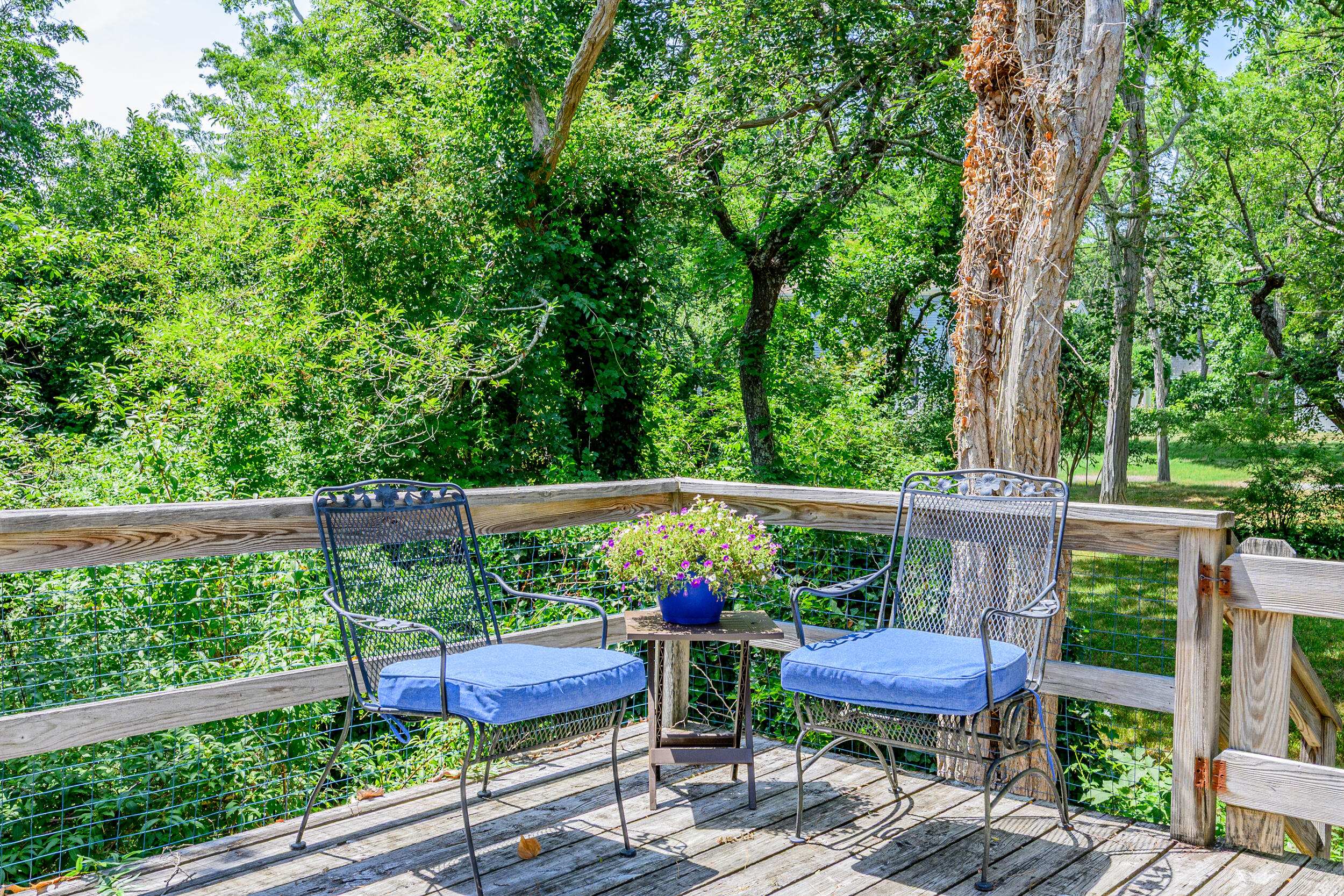 215 Cove View Road Wellfleet MA 02667