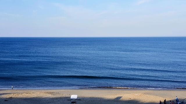 215 Cove View Road Wellfleet MA 02667