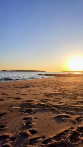 215 Cove View Road Wellfleet MA 02667