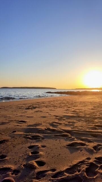 215 Cove View Road Wellfleet MA 02667