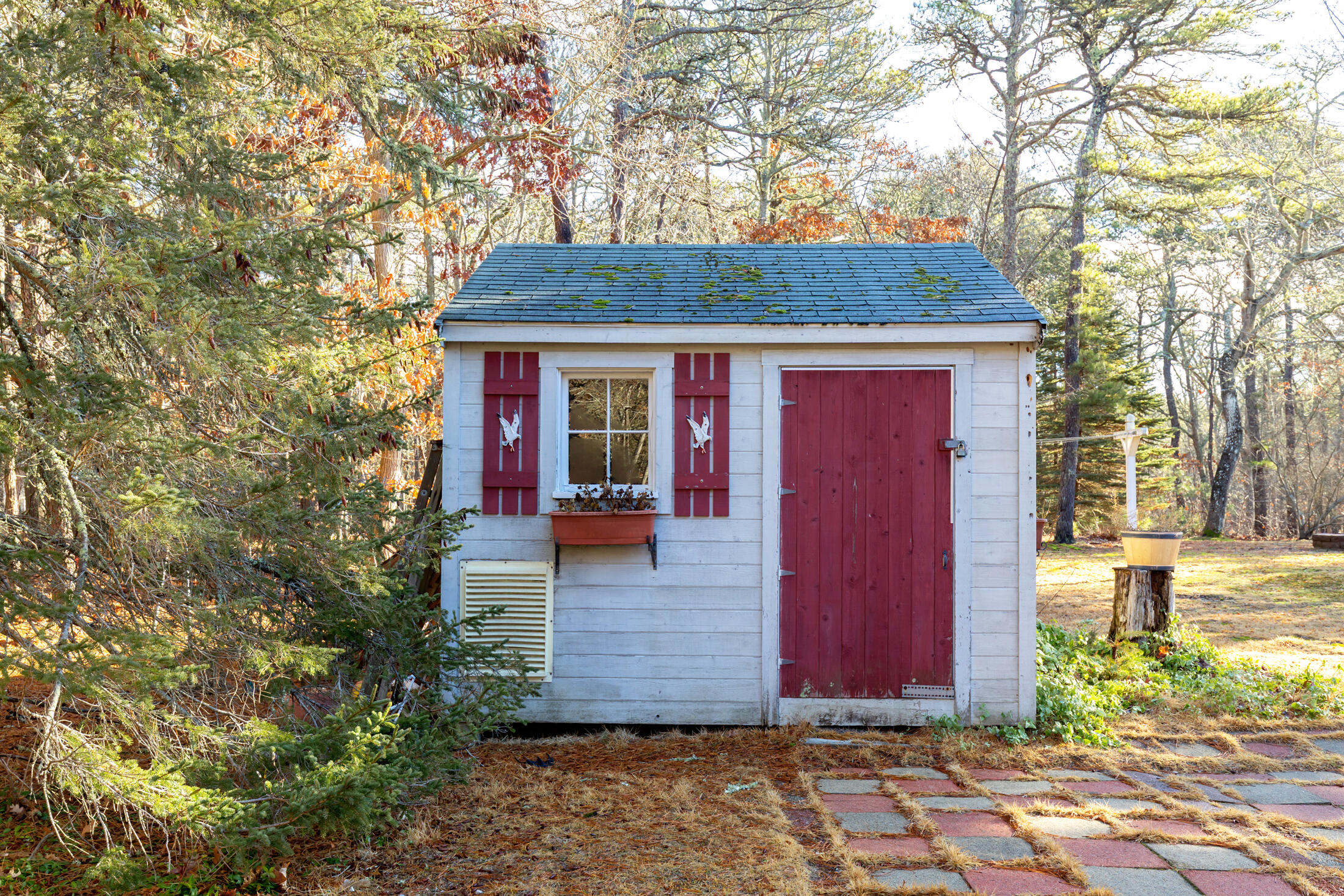 25 Forrest Avenue Eastham MA 02642