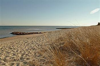 Cotuit MA 02635