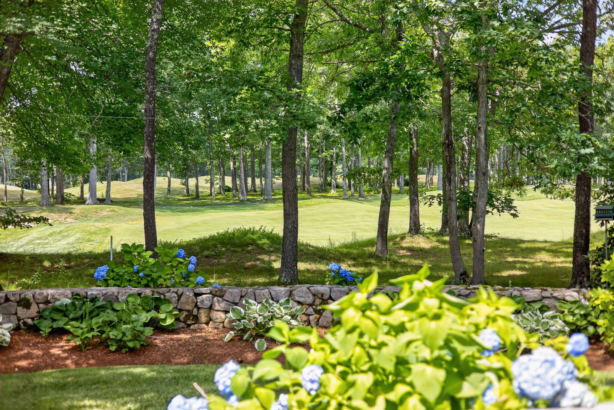 24 Open Space Drive Sandwich MA 02563