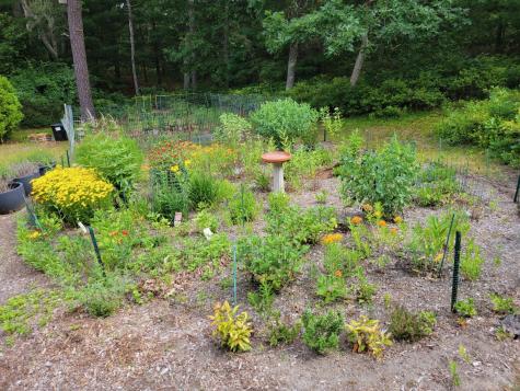 99 Rockledge Drive Falmouth MA 02556