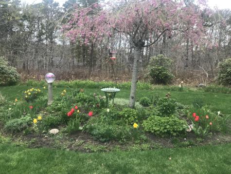 58 Tirrells Way Chatham MA 02659