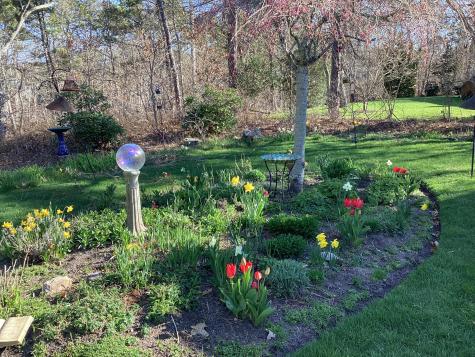 58 Tirrells Way Chatham MA 02659