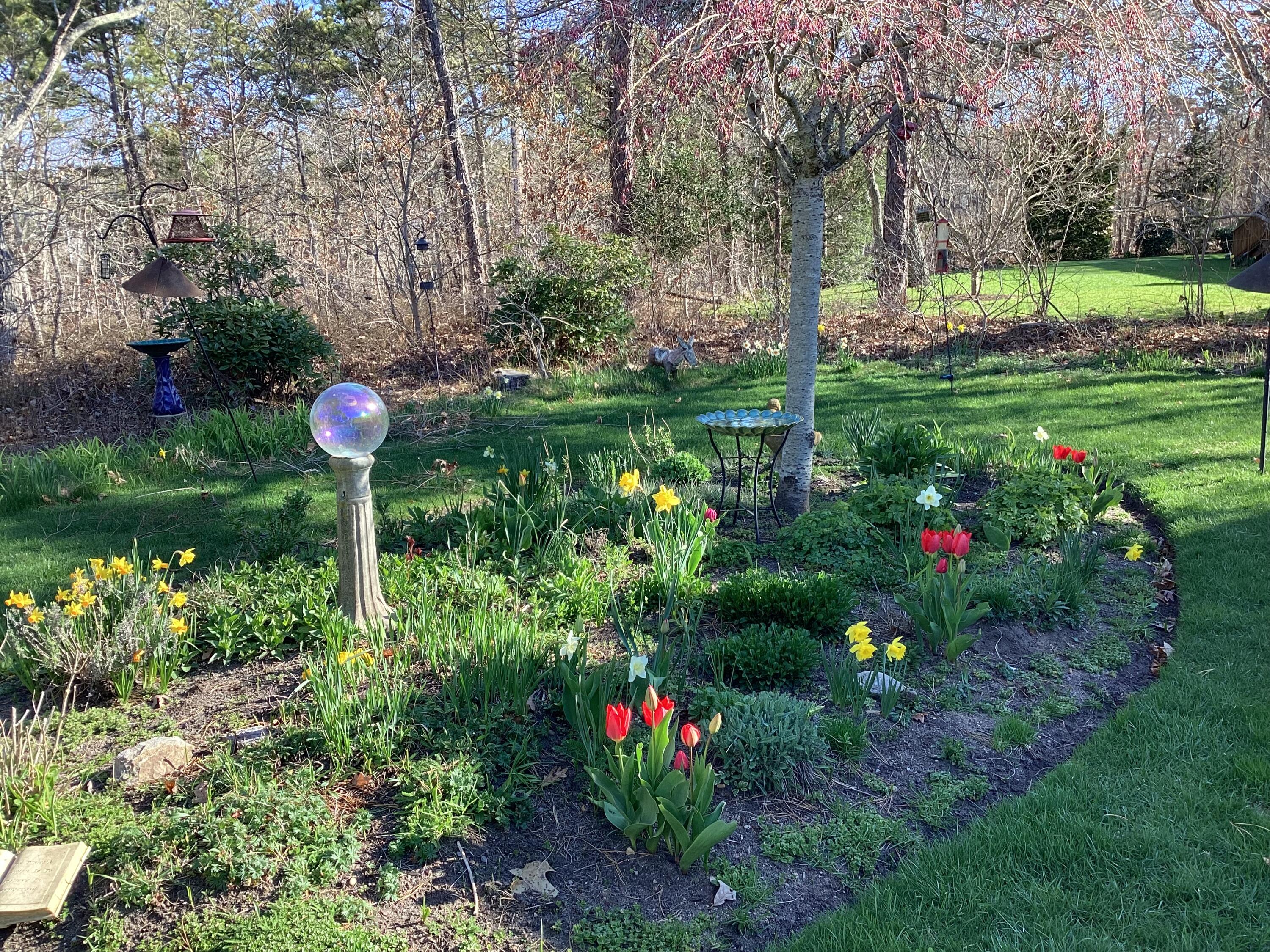 58 Tirrells Way Chatham MA 02659