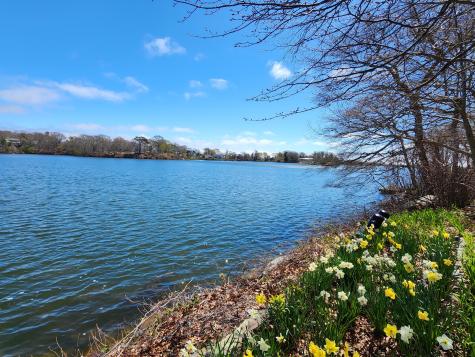 182 Woods Hole Road Falmouth MA 02540