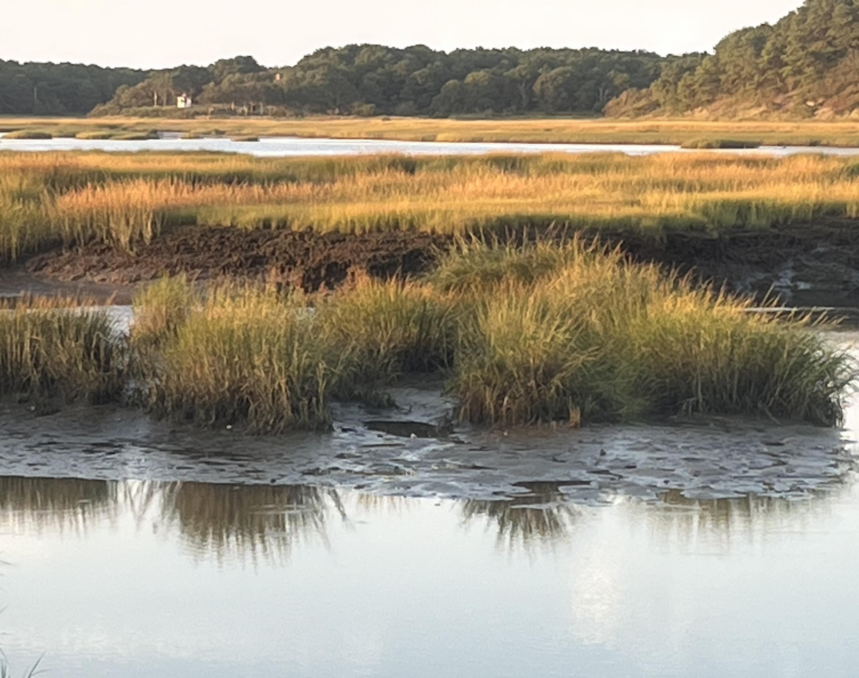 1020 3rd Avenue Wellfleet MA 02667