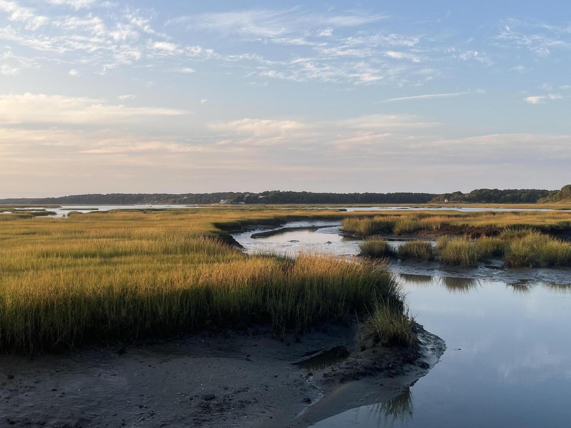 1020 3rd Avenue Wellfleet MA 02667