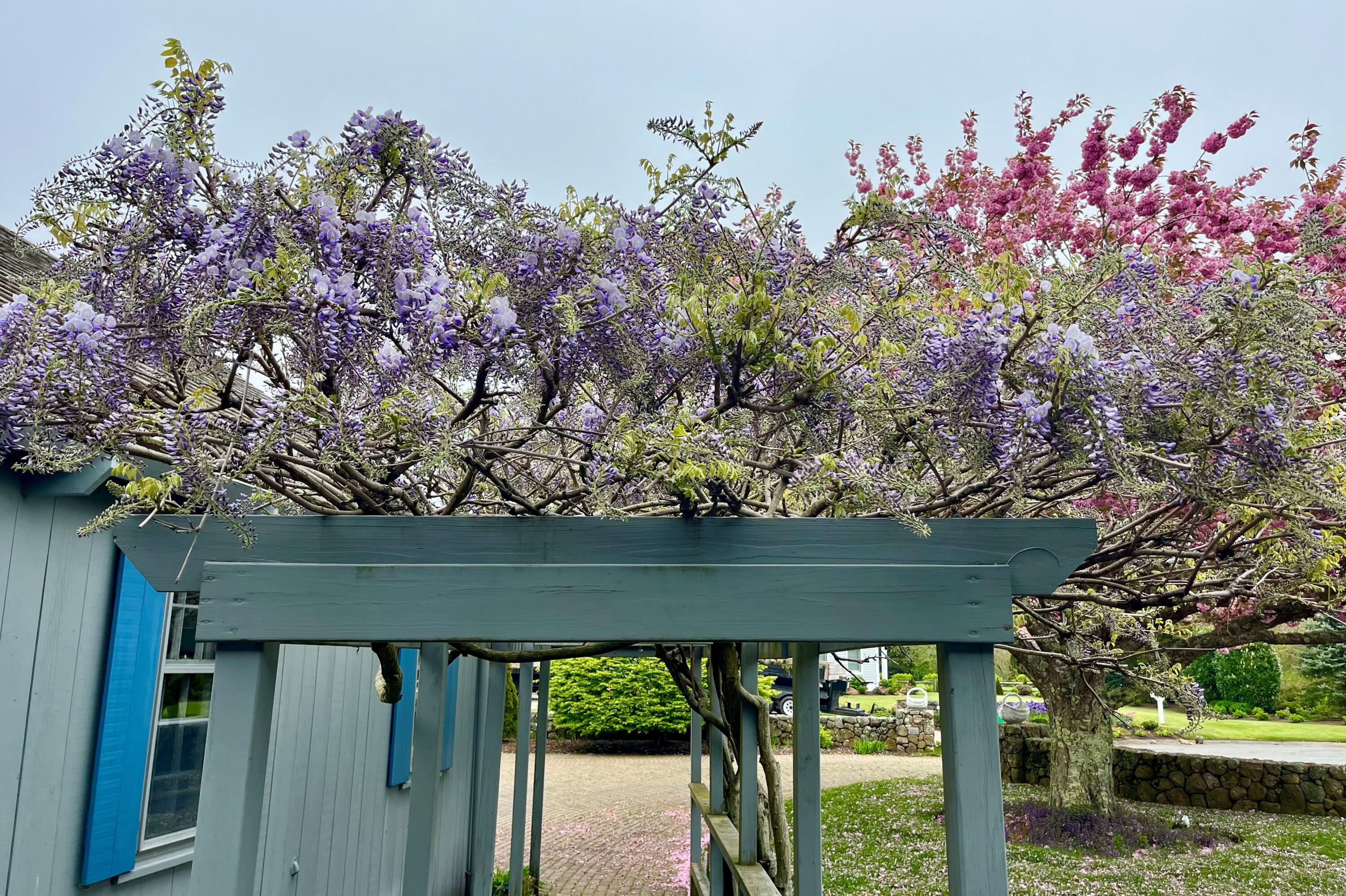 40 Youngs Farm Lane Chatham MA 02633