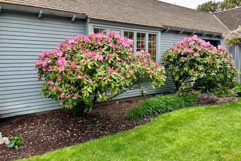 40 Youngs Farm Lane Chatham MA 02633