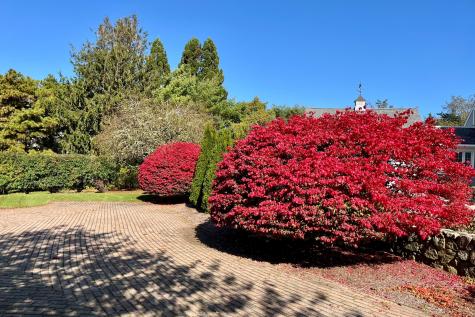 40 Youngs Farm Lane Chatham MA 02633