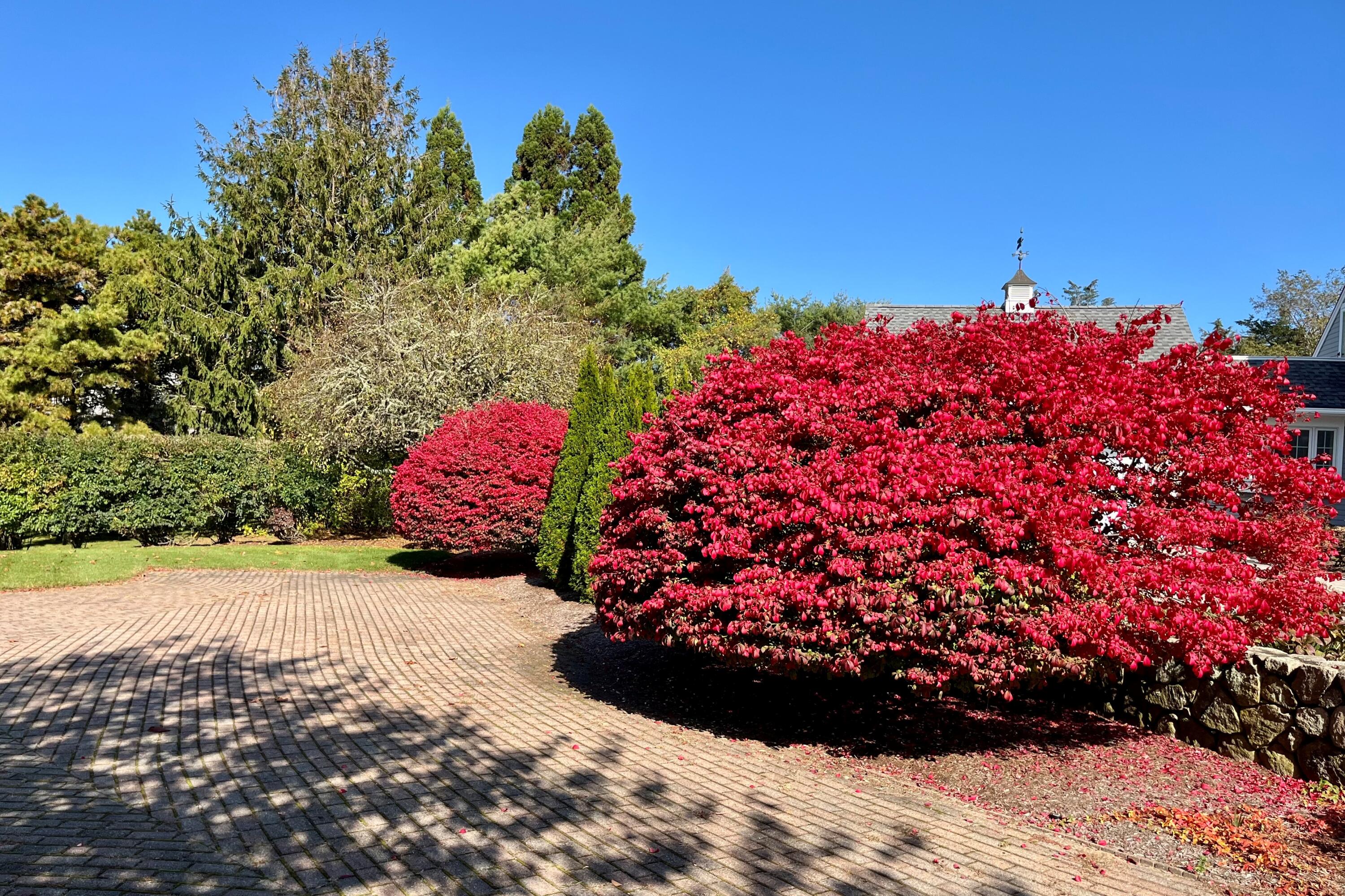 40 Youngs Farm Lane Chatham MA 02633