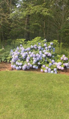 15 Tobisset Street Mashpee MA 02649