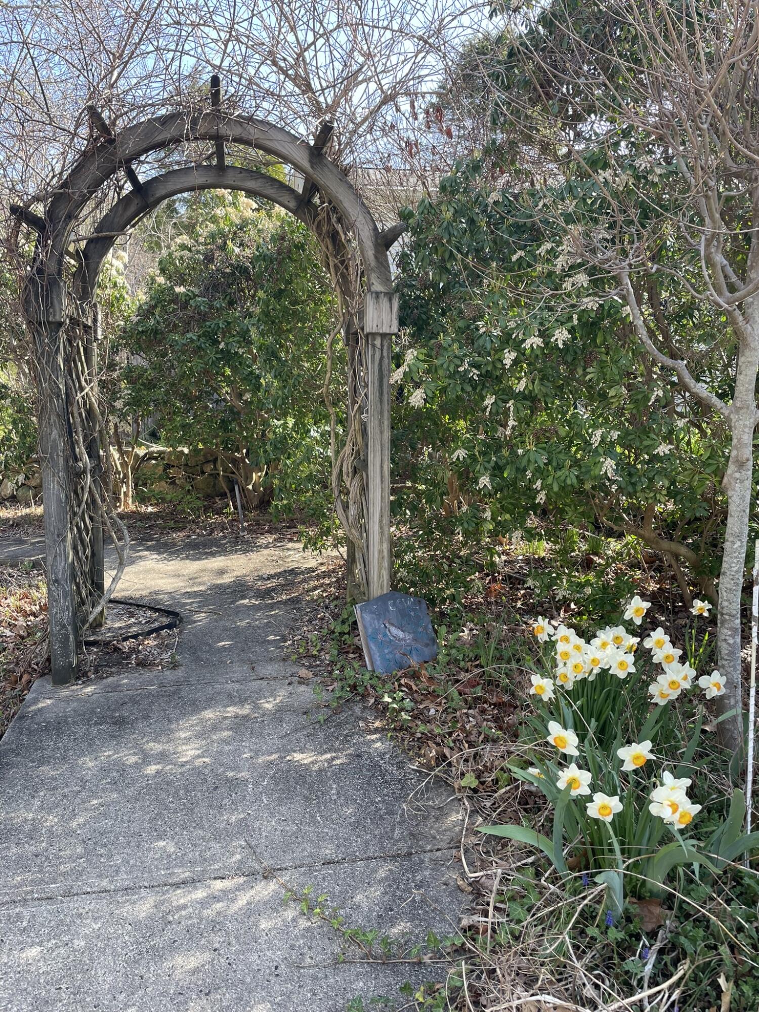 209 Union Street Yarmouth MA 02675