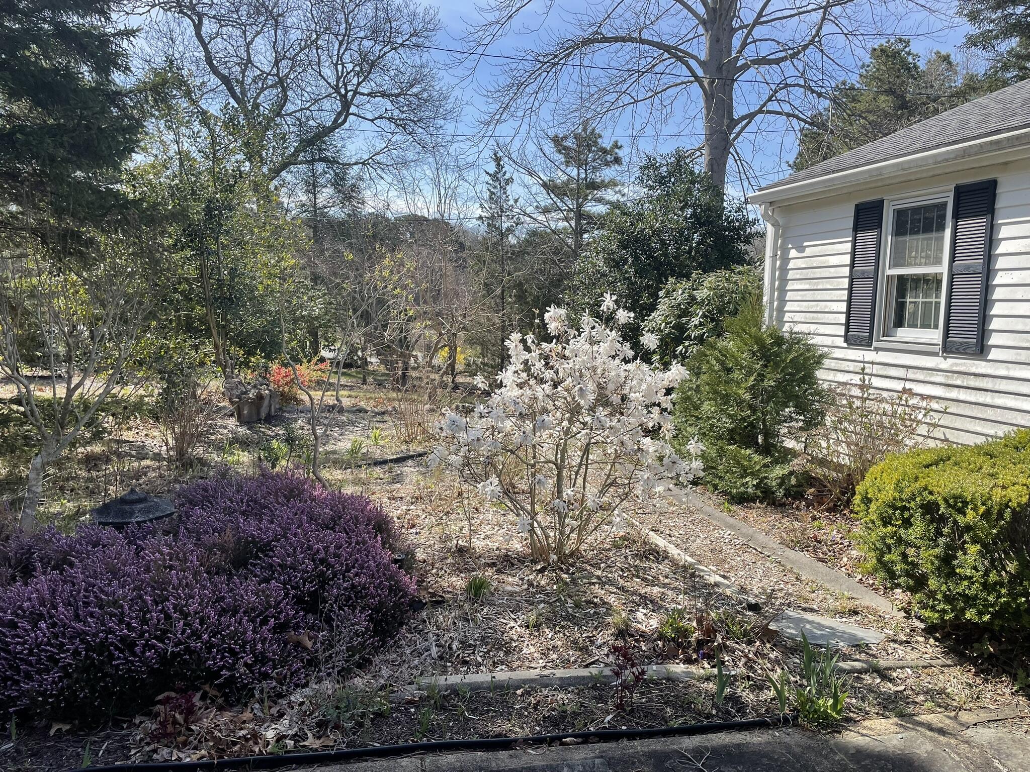 209 Union Street Yarmouth MA 02675