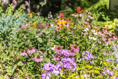 5 Aviators Lane Sandwich MA 02563