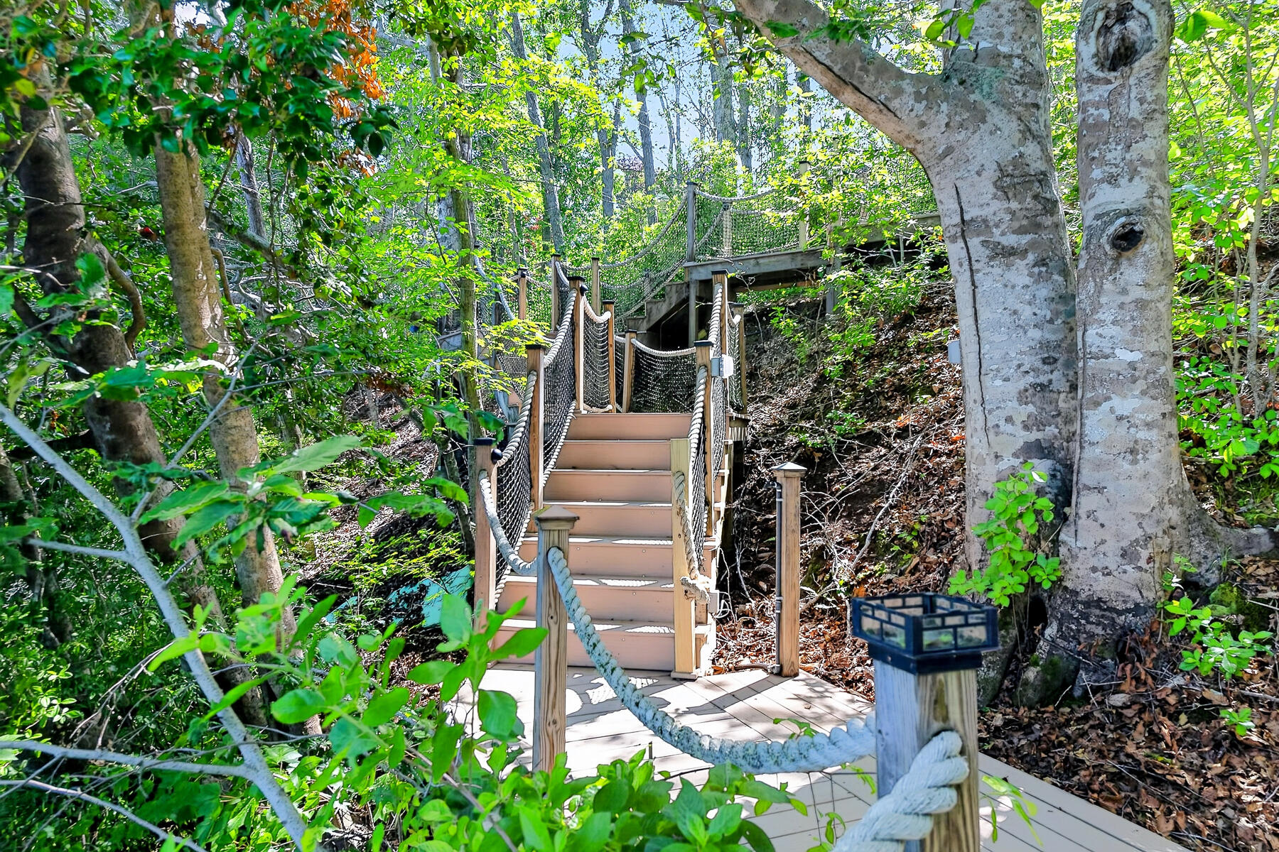 79 Pickerel Cove Circle Mashpee MA 02649