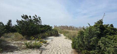 59 Bridge Road Orleans MA 02653