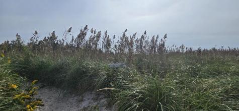 59 Bridge Road Orleans MA 02653