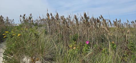 59 Bridge Road Orleans MA 02653