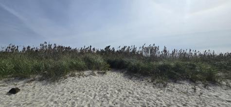 59 Bridge Road Orleans MA 02653