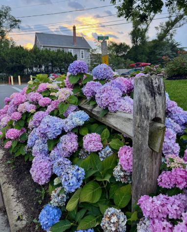 26 Winslow Street Provincetown MA 02657