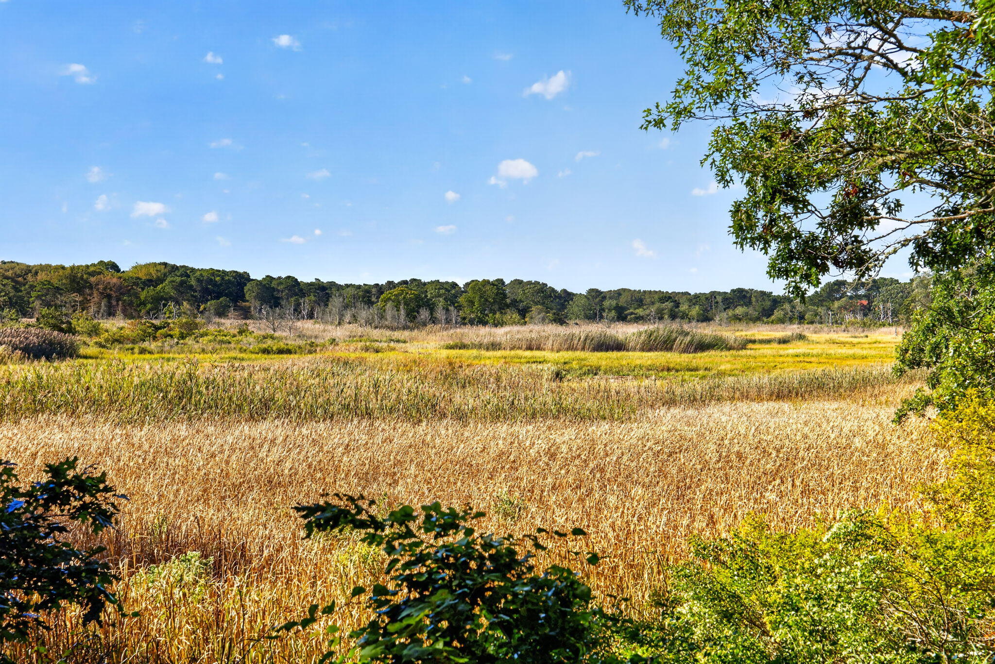 115 Parkington Hill Road Wellfleet MA 02667