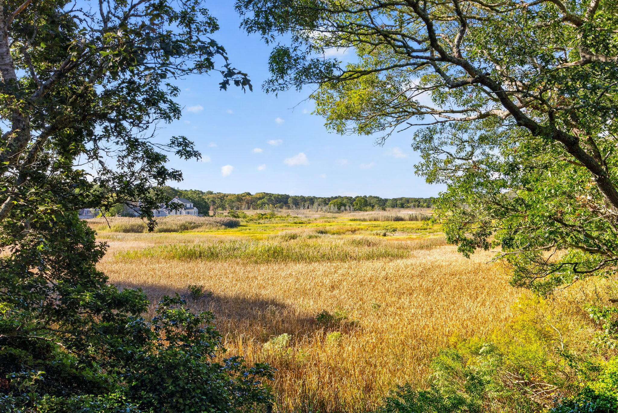 115 Parkington Hill Road Wellfleet MA 02667