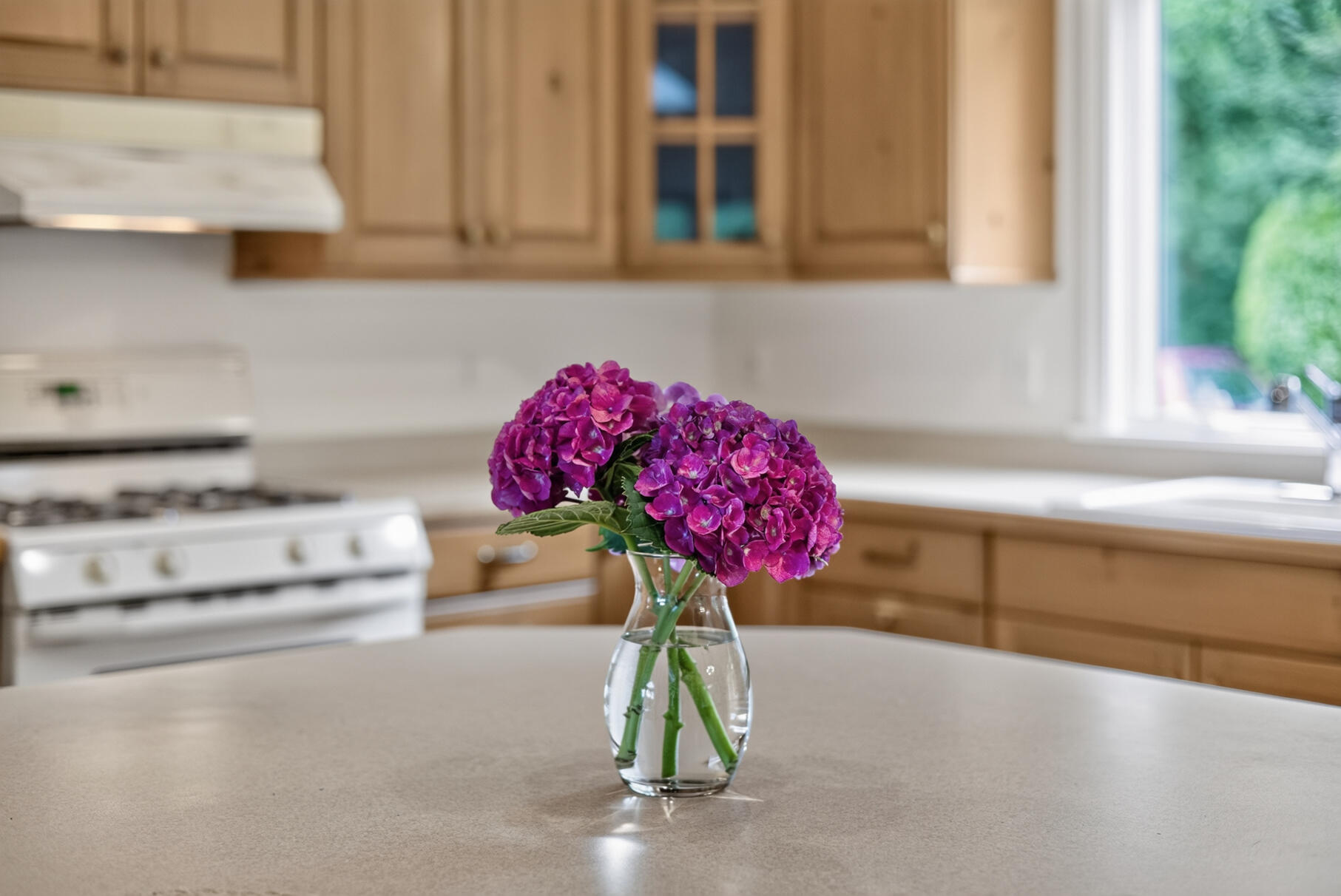 72 Smith Street Chatham MA 02633