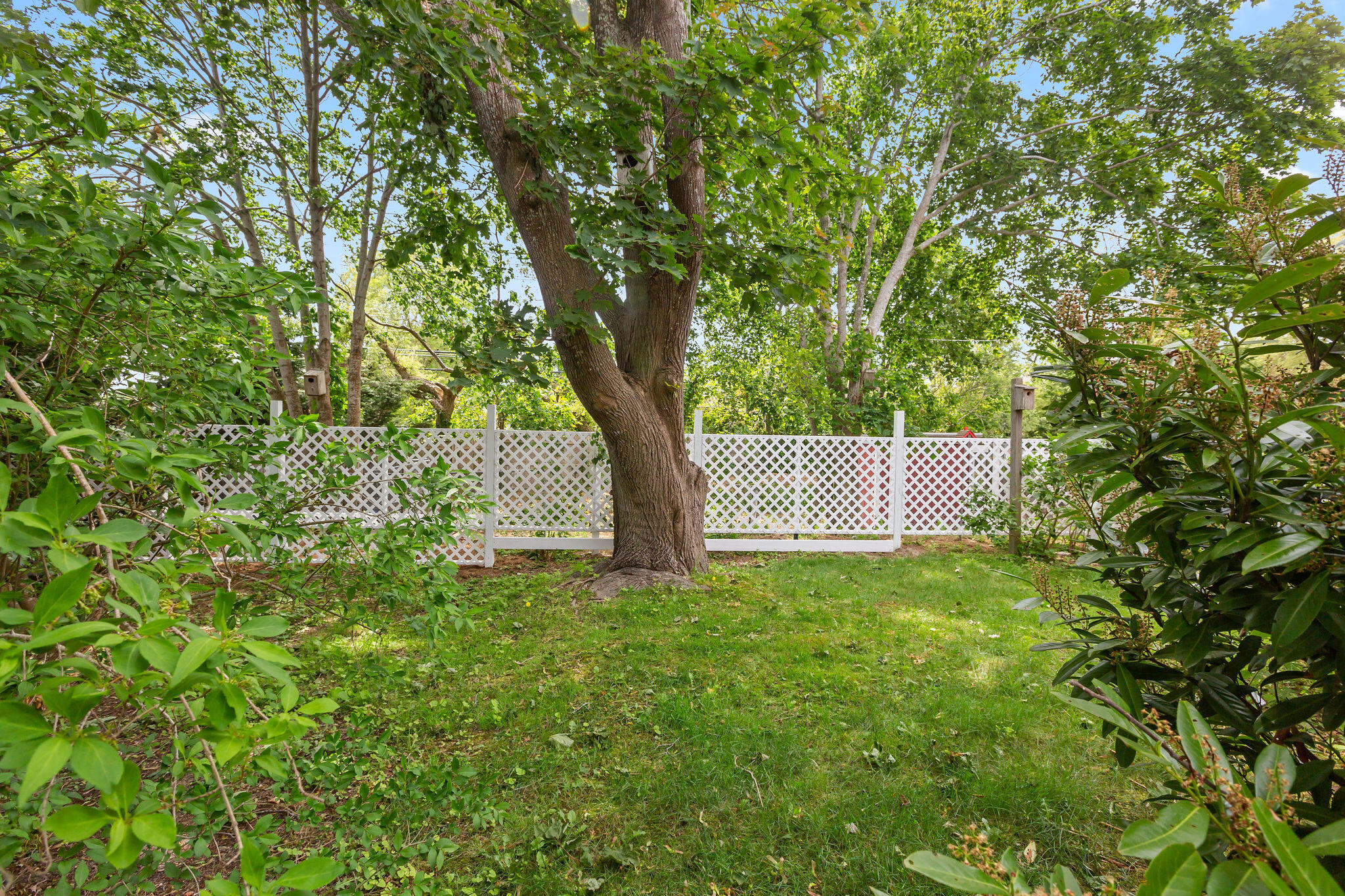 22 Browne Street Provincetown MA 02657